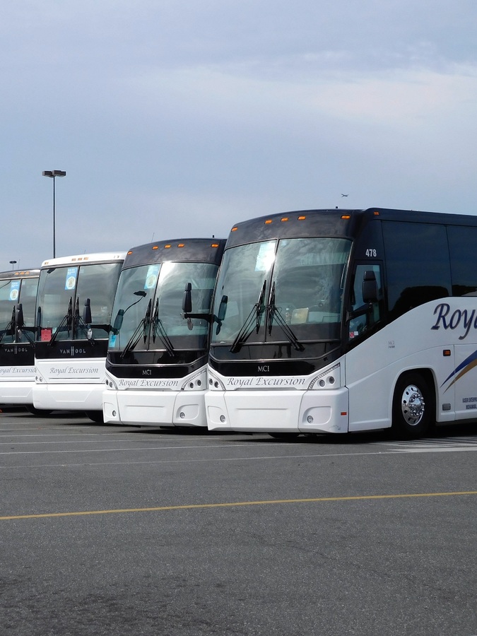 A fleet of buses